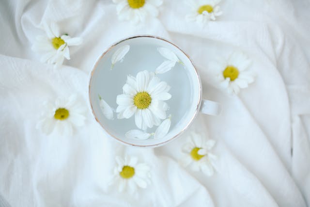 Ravenlor ритуали